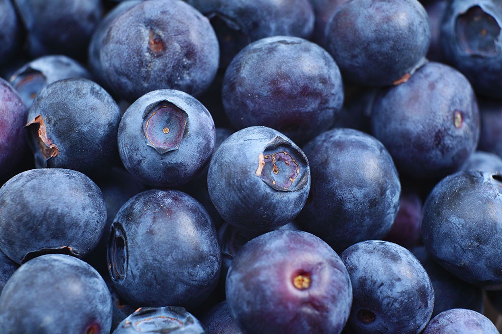 Blueberries and Diabetes Are Blueberries Good for Diabetics? Breathe